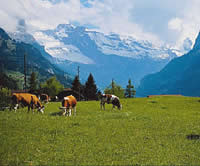 Almen und Thermen Almen und Thermen