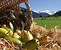 Goldene Wander- & Wohlfühlwoche Goldene Wander- & Wohlfühlwoche